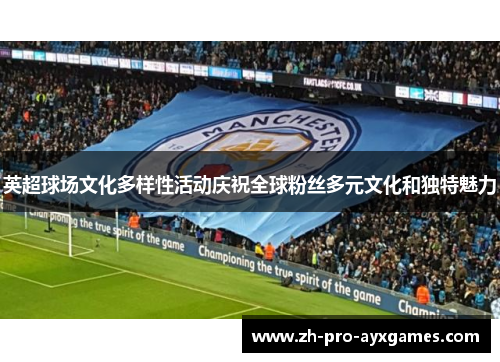 英超球场文化多样性活动庆祝全球粉丝多元文化和独特魅力