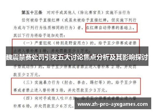 魏震禁赛处罚引发五大讨论焦点分析及其影响探讨