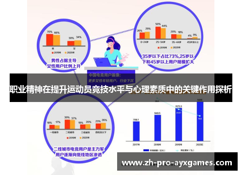 职业精神在提升运动员竞技水平与心理素质中的关键作用探析