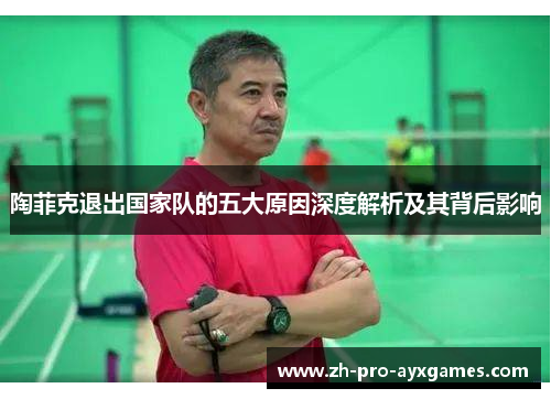 陶菲克退出国家队的五大原因深度解析及其背后影响