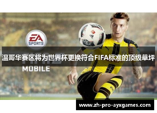 温哥华赛区将为世界杯更换符合FIFA标准的顶级草坪