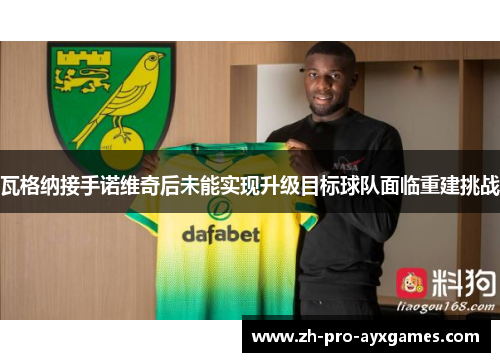 瓦格纳接手诺维奇后未能实现升级目标球队面临重建挑战